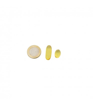 Omega 3 Pro 500 Mg. 60 Caps. Vibefarma