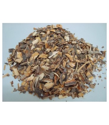 COPALCHI CORTEZA