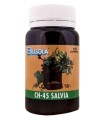 Ch-45 Salvia Bellsola