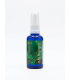 Tonico Kalanchoe 50 Ml. Limye