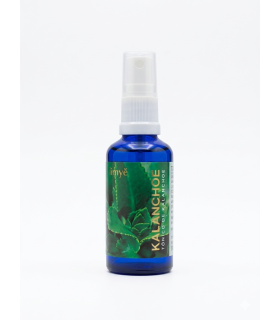 Tonico Kalanchoe 50 Ml. Limye