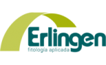 ERLINGEN